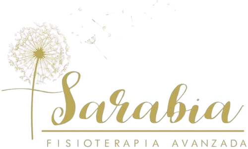 logo sarabia fisioterapia removebg preview